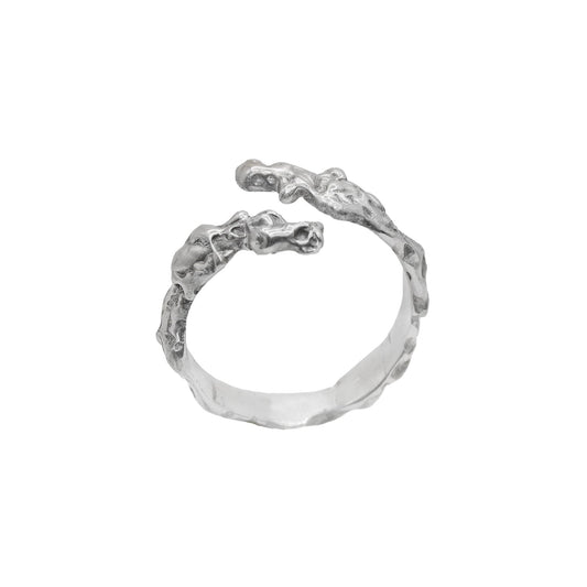 NO CONNECTION RING